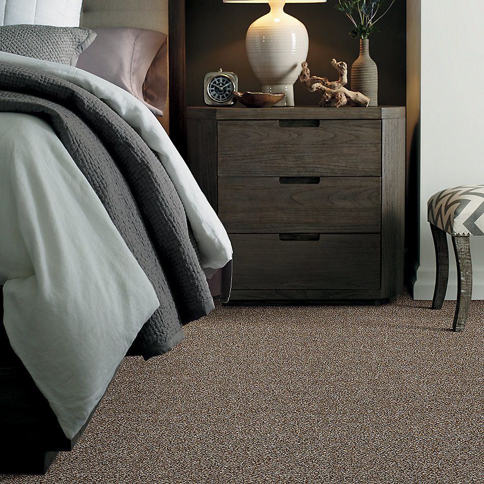Shaw Floors Value Collections Go All Out Bits Of Brown 00200_E9909