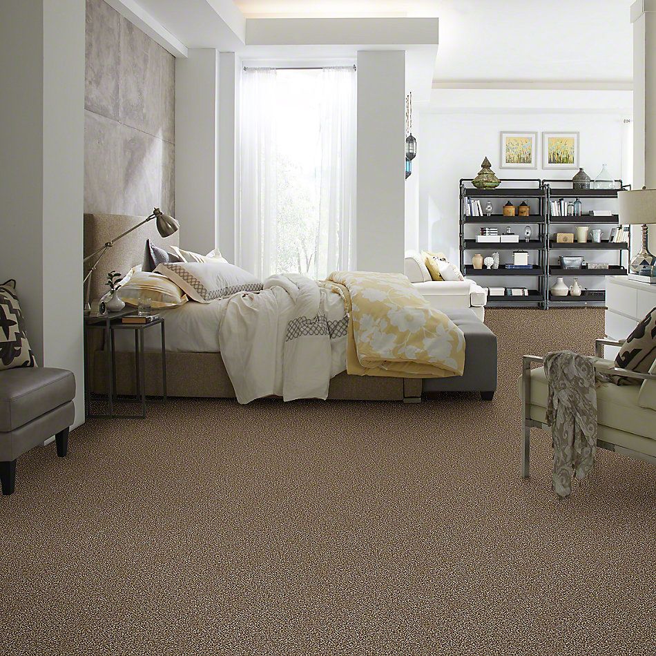 Shaw Floors Simply The Best Breathe & Reflect Honey Bear 00200_EA688