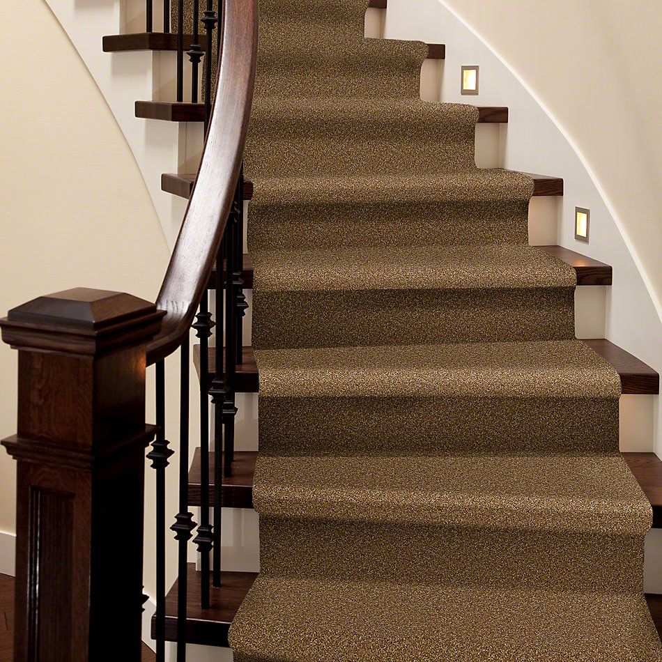 Shaw Floors Property Solutions Falcon Autumn Wheat 00200_PS590