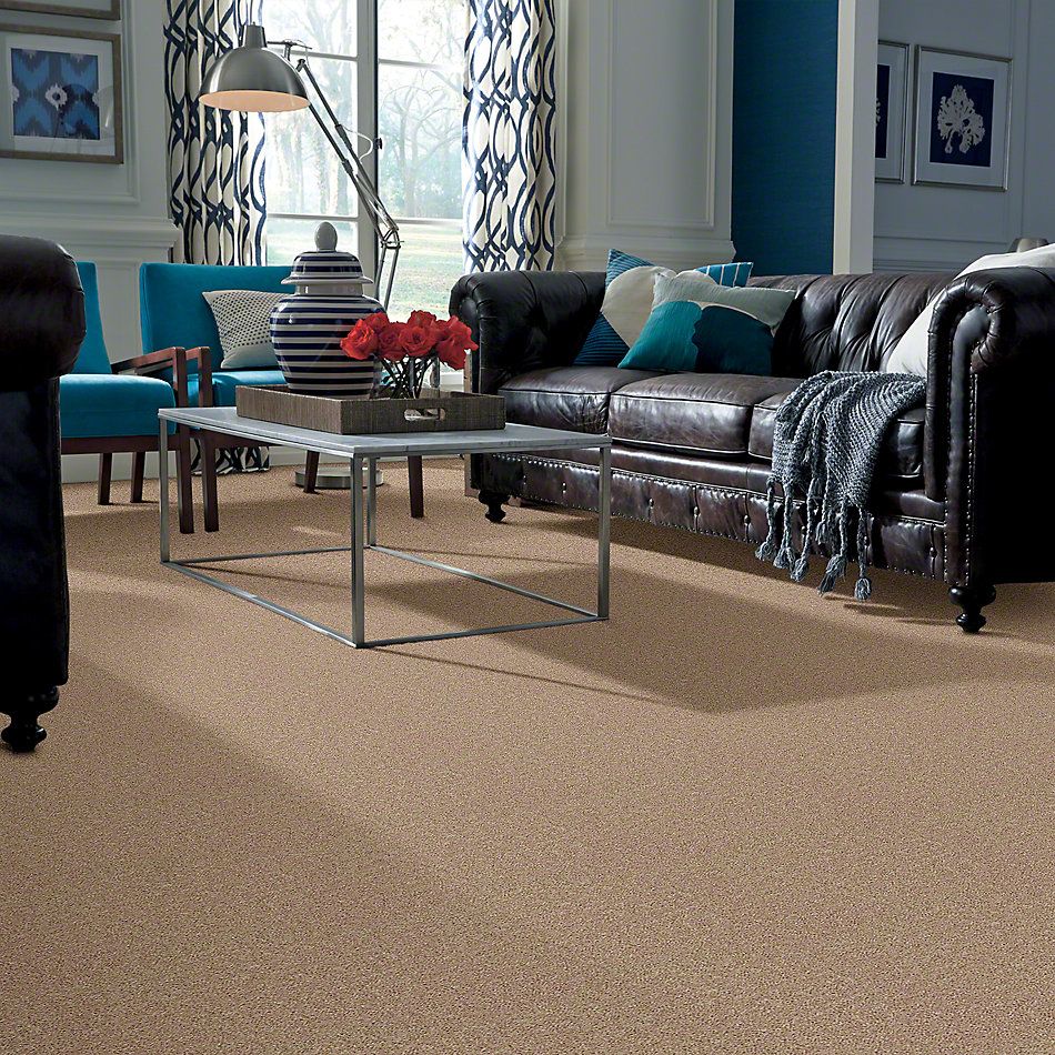 Shaw Floors Shaw Flooring Gallery Ellendale 12′ Wild Dune 00201_5273G