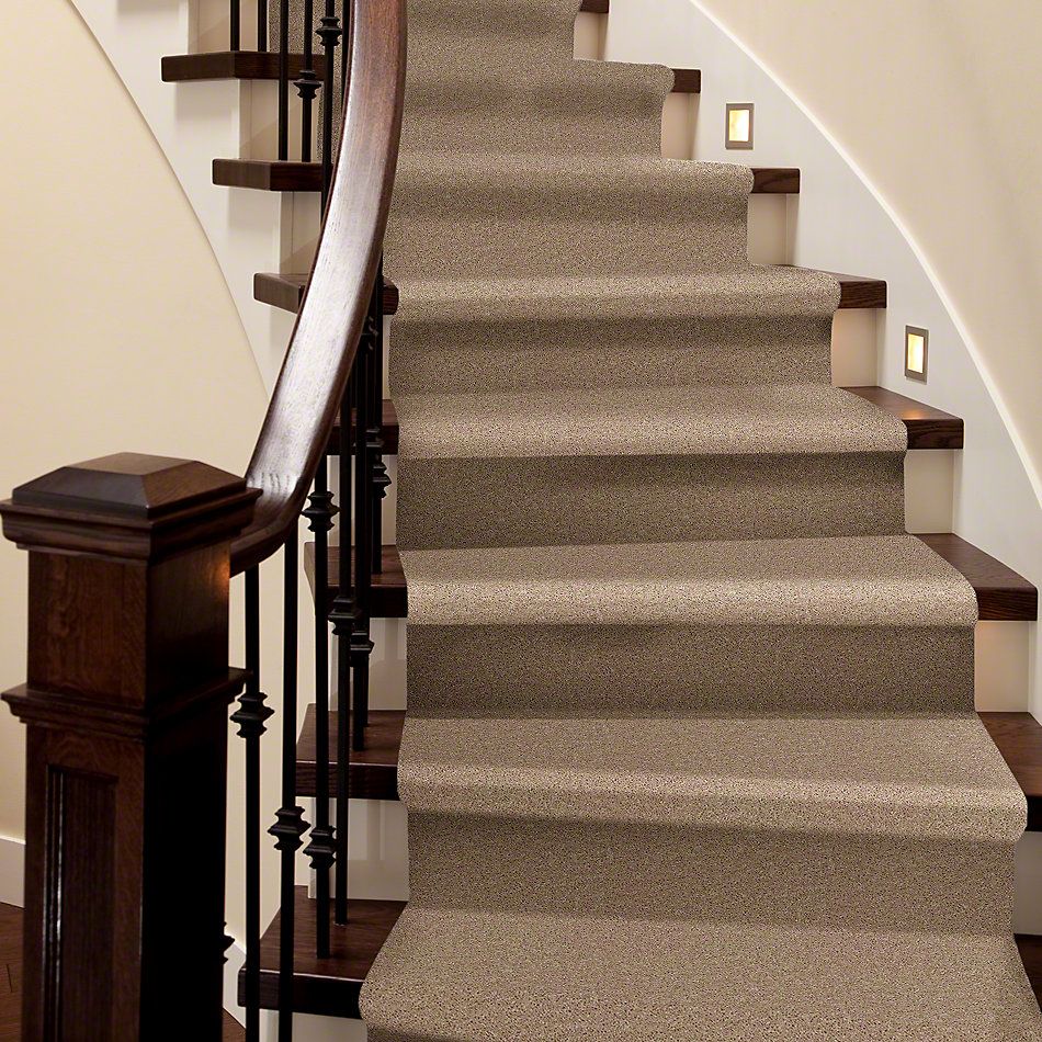 Shaw Floors Shaw Flooring Gallery Ellendale 12′ Wild Dune 00201_5273G