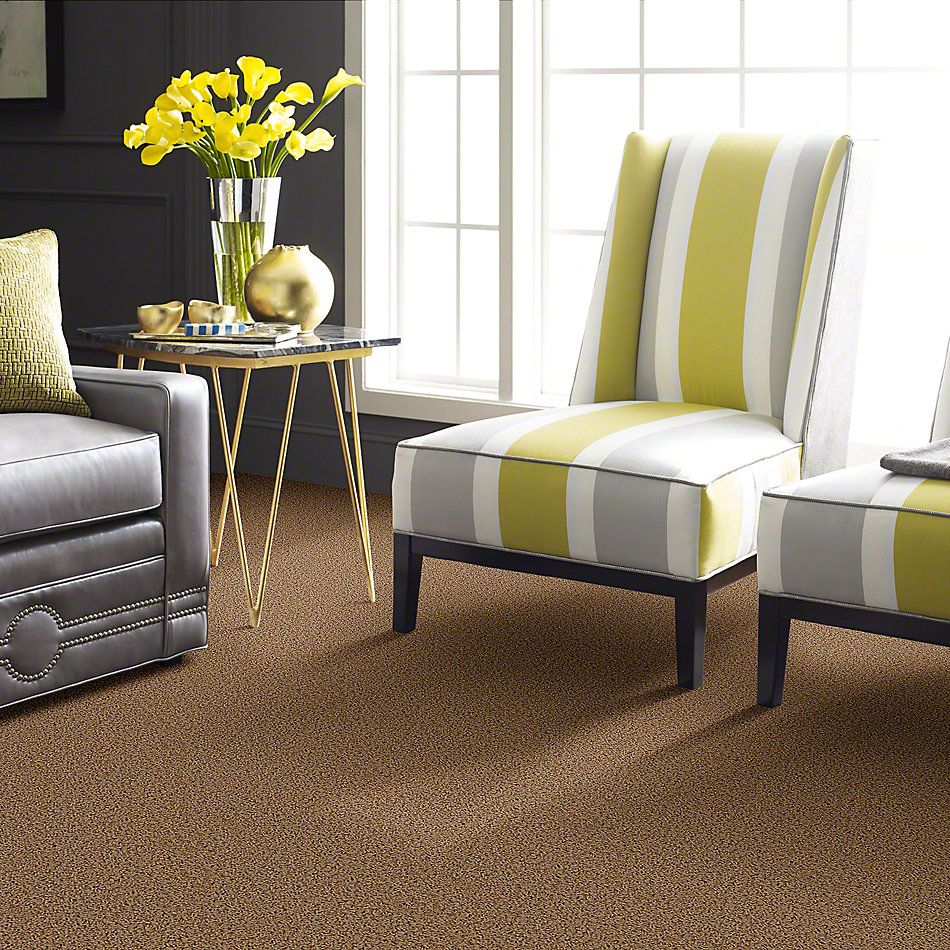 Shaw Floors Guess Work (s) Sahara 52T99_00201