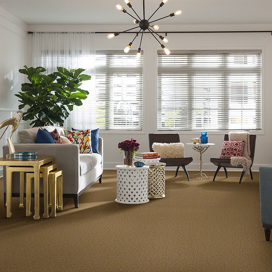 Shaw Floors Town Creek II Straw Hat 52S30_00201