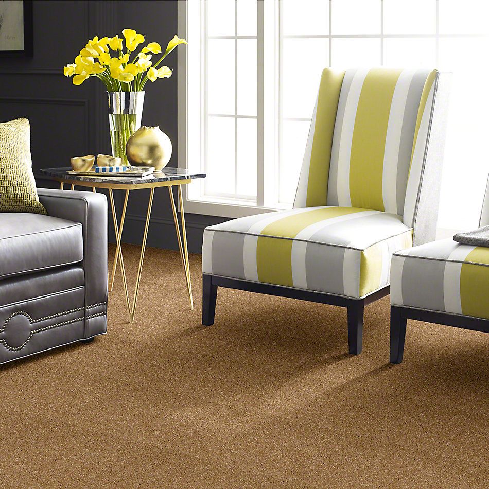 Shaw Floors Town Creek I 15′ Straw Hat 52V12_00201