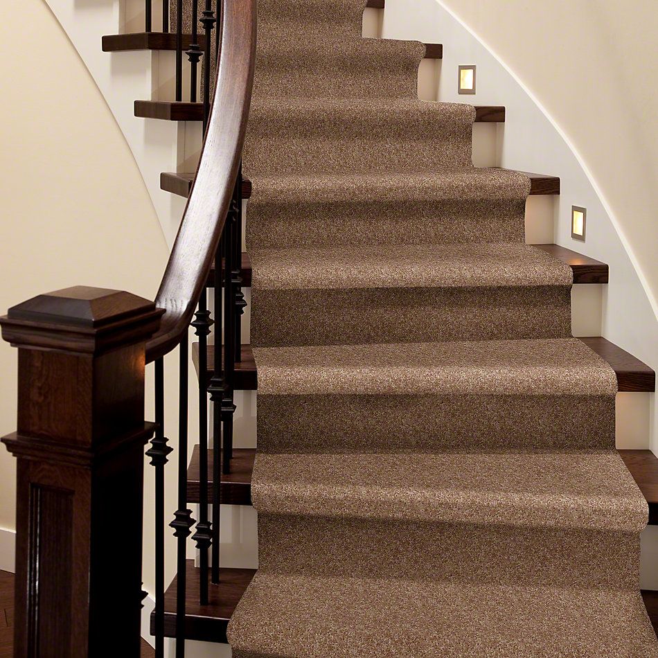 Shaw Floors Roll Special Xv540 Caramel Latte 00201_XV540