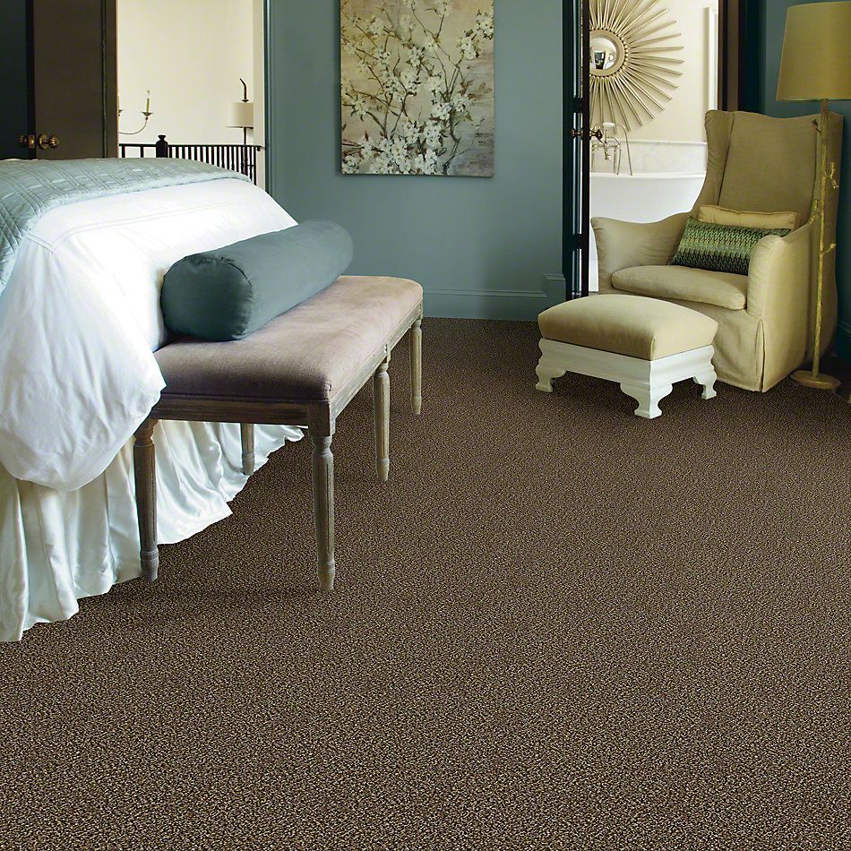 Shaw Floors Simply The Best Because We Can I 12′ Sandpiper 00201_E9186