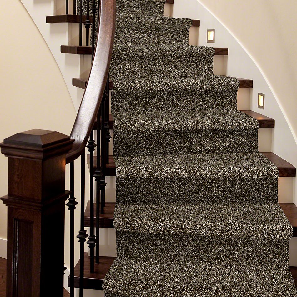 Shaw Floors Simply The Best Because We Can III 12′ Sandpiper 00201_E9188