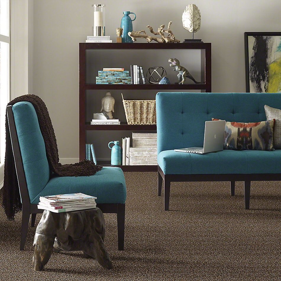 Shaw Floors Simply The Best Because We Can I 15′ Sandpiper 00201_E9258