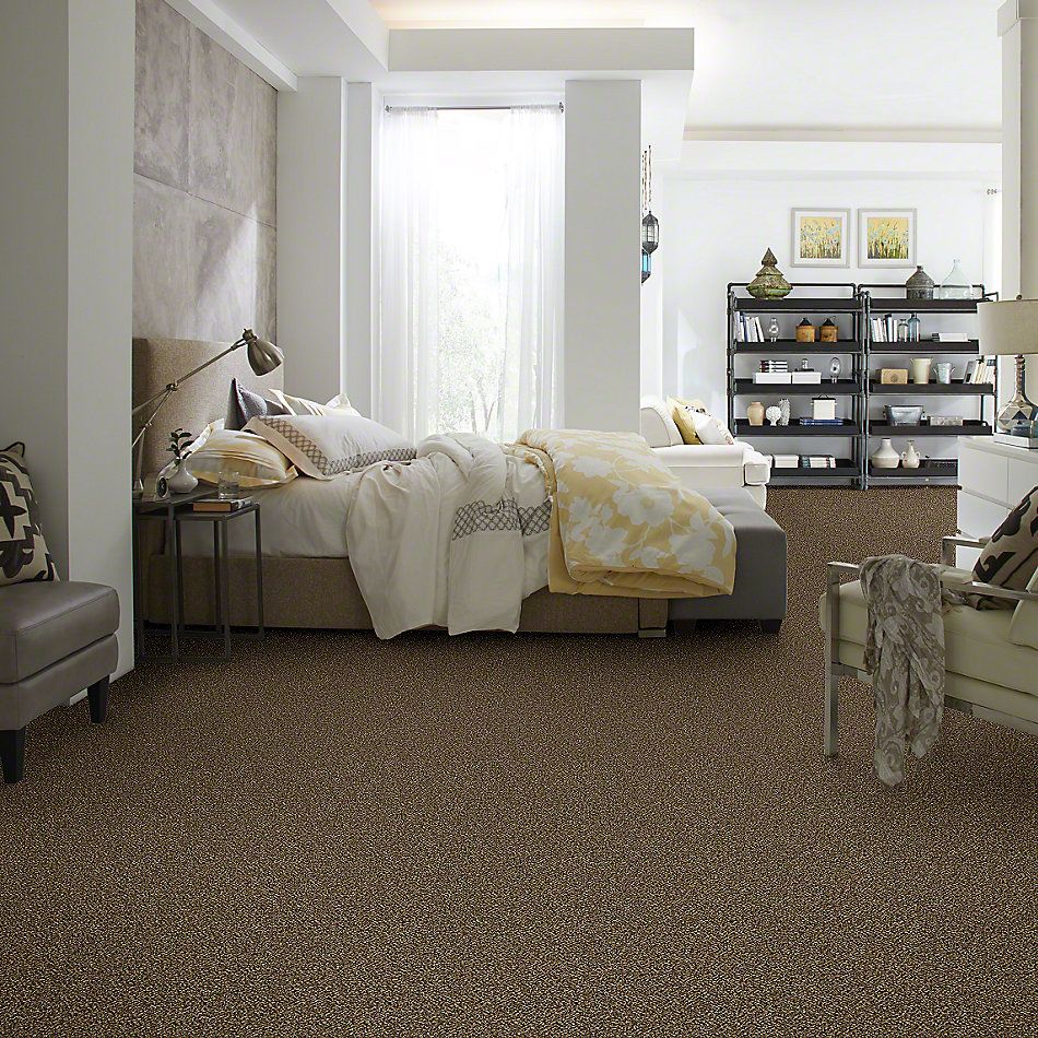 Shaw Floors Simply The Best Because We Can III 15′ Sandpiper 00201_E9288