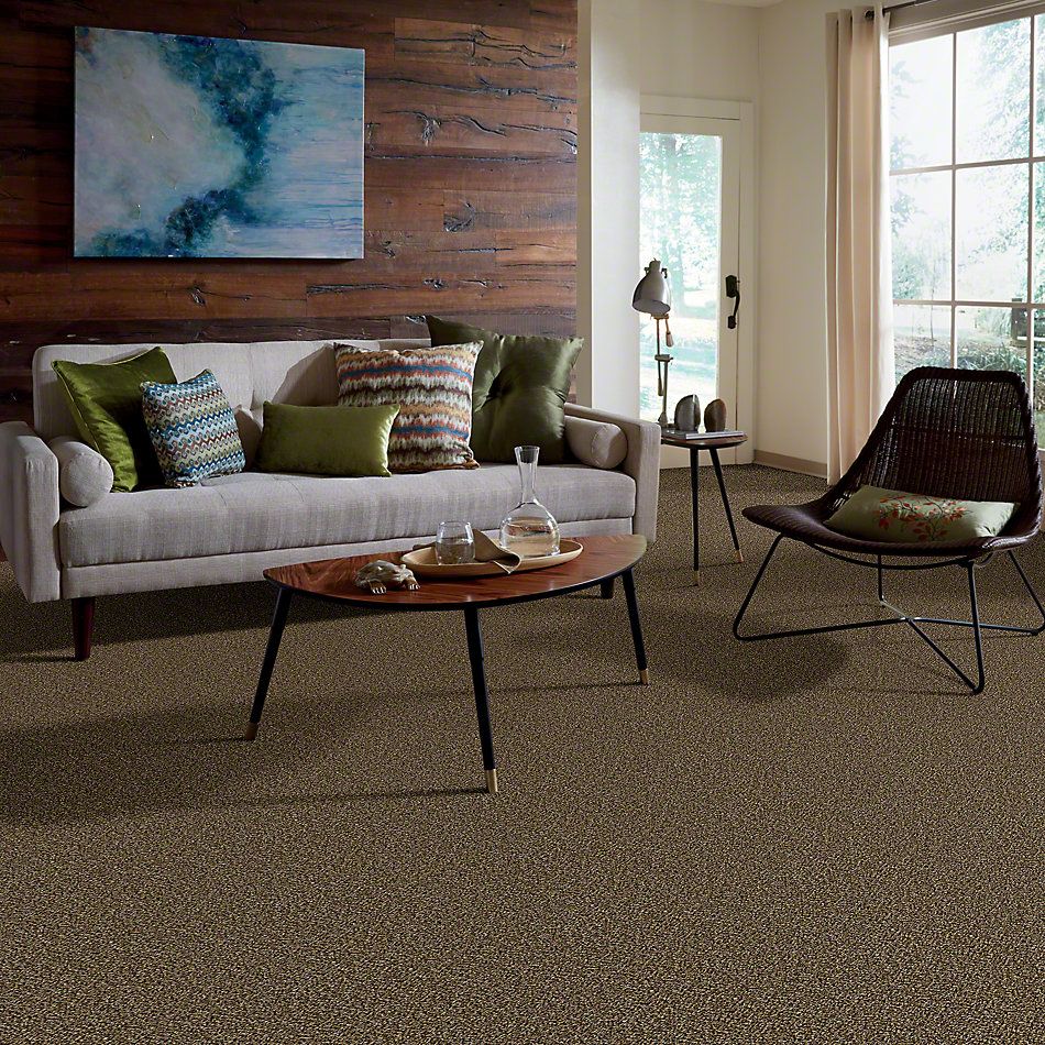 Shaw Floors Value Collections Because We Can III 15′ Net Sandpiper 00201_E9317