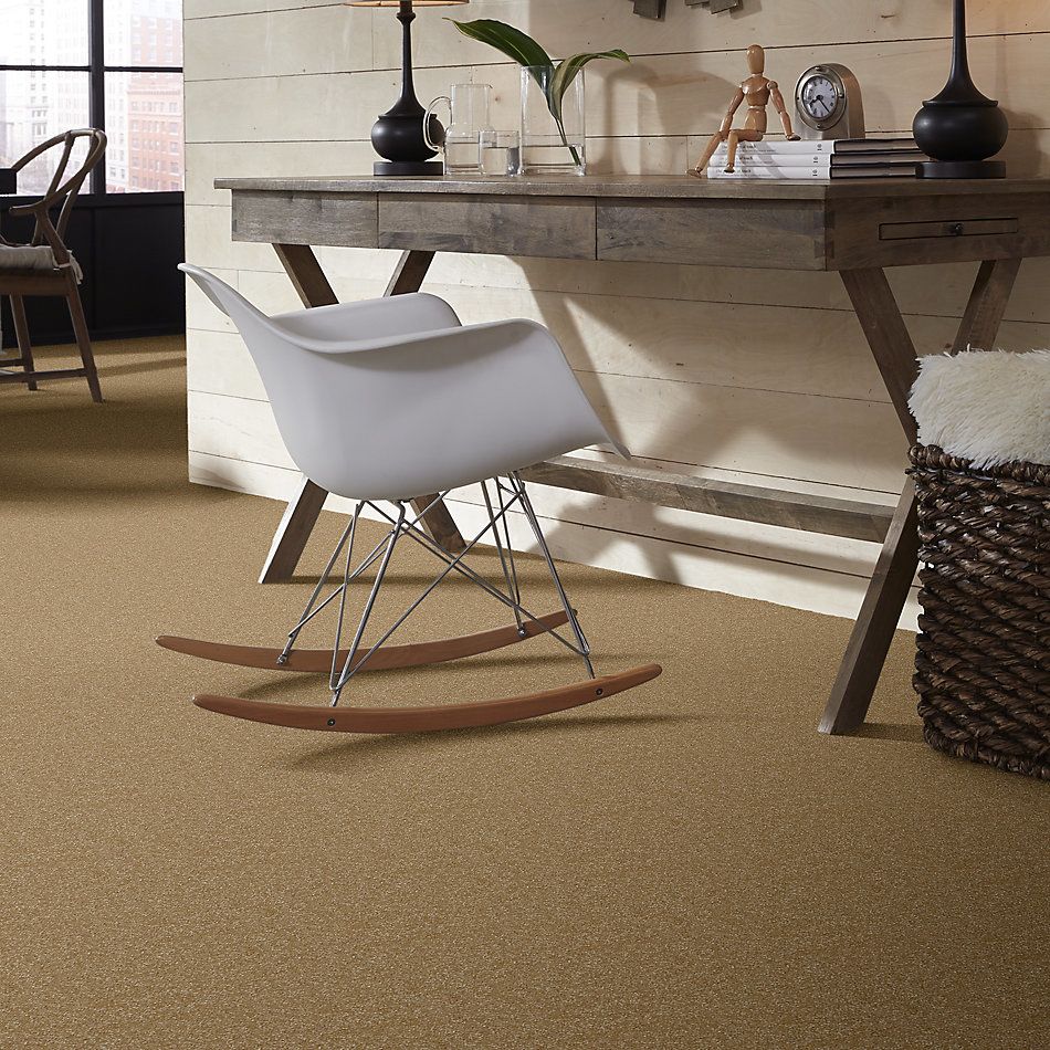 Shaw Floors Value Collections Passageway 3 Net Straw Hat 00201_E9377