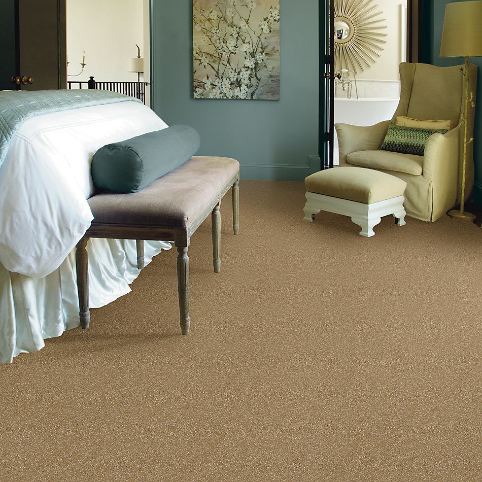 Shaw Floors Value Collections Passageway I 15 Net Straw Hat 00201_E9620
