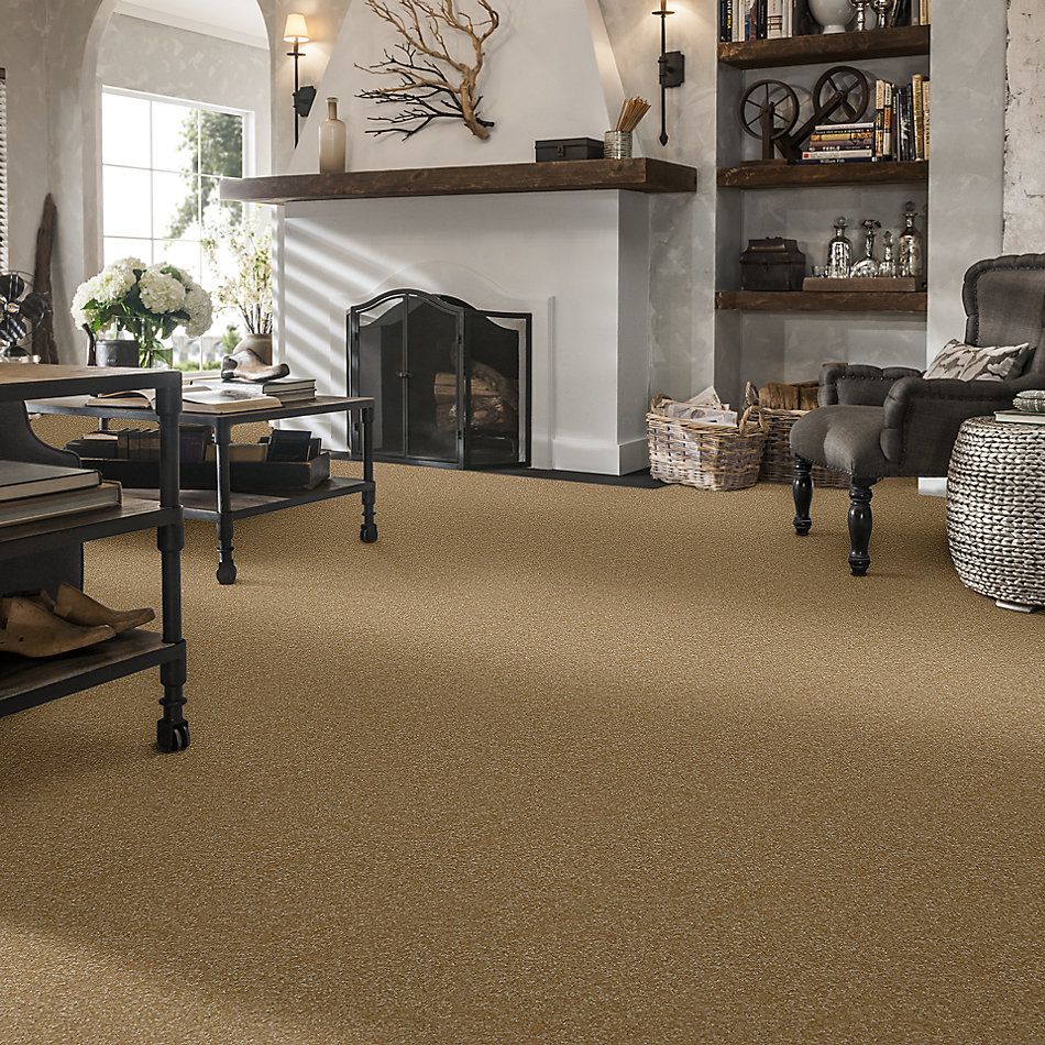 Shaw Floors Value Collections Passageway II 15 Net Straw Hat 00201_E9621