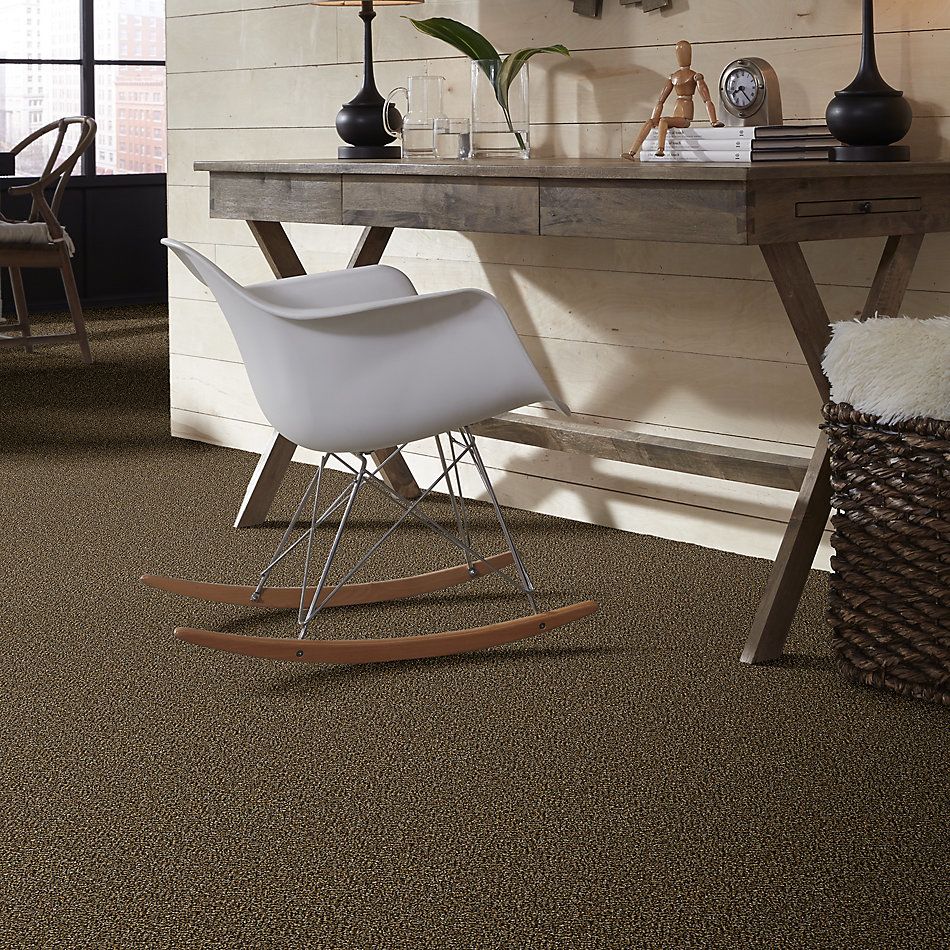 Shaw Floors Value Collections Accents For Sure 15′ Sandpiper 00201_E9923