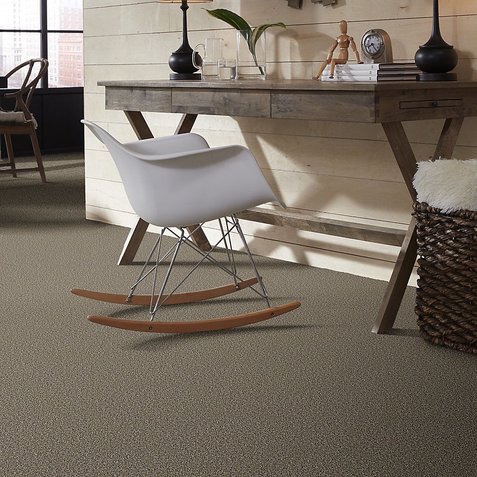 Shaw Floors Value Collections Breathe & Reflect Net Champion 00201_EA720