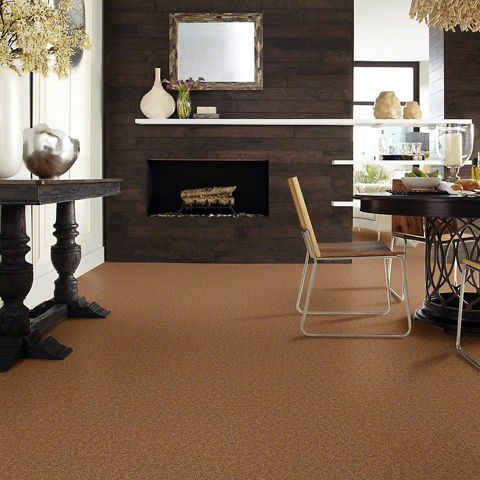 Shaw Floors Property Solutions Viper Classic Roasted Pecan 00201_HF862