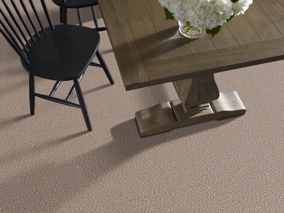 Shaw Floors Roll Special First Call 12 Moonlight Path 00201_SP611
