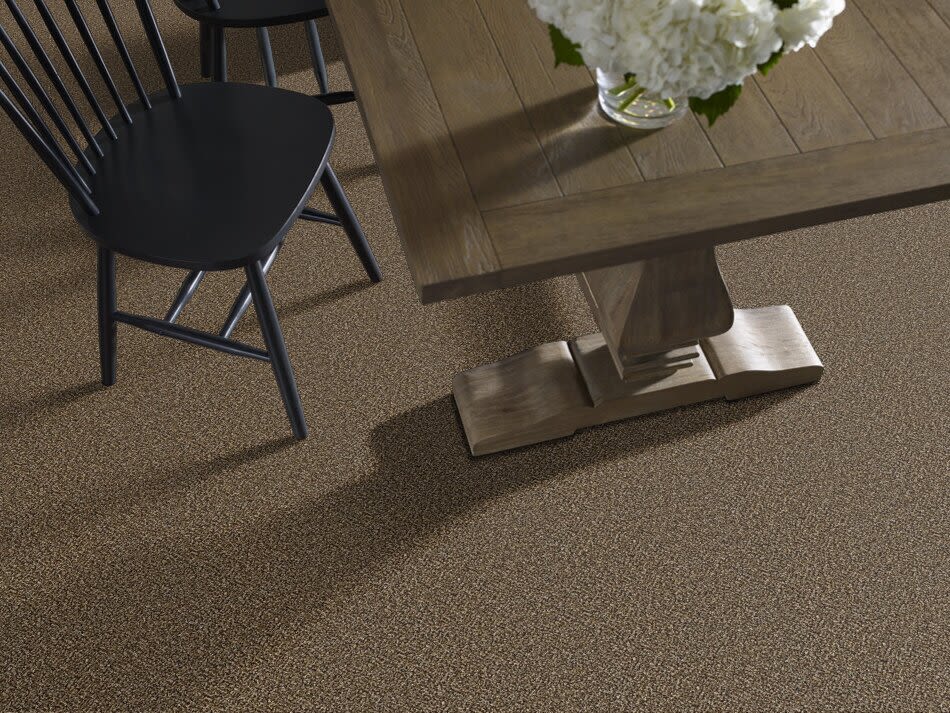 Shaw Floors Value Collections Xy147 Sandpiper 00201_XY147