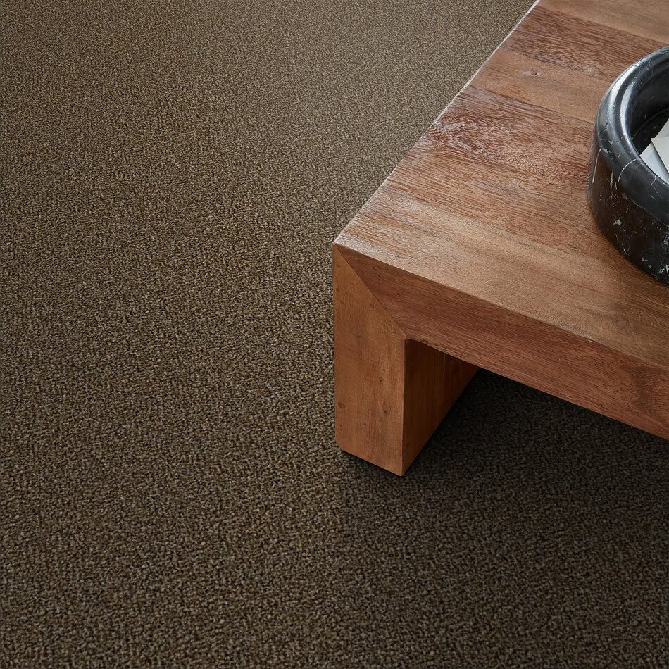 Shaw Floors Value Collections Xy147 Sandpiper 00201_XY147