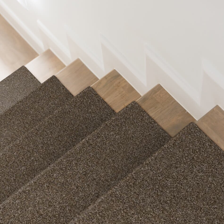 Shaw Floors Value Collections Xy194 Champion 00201_XY194