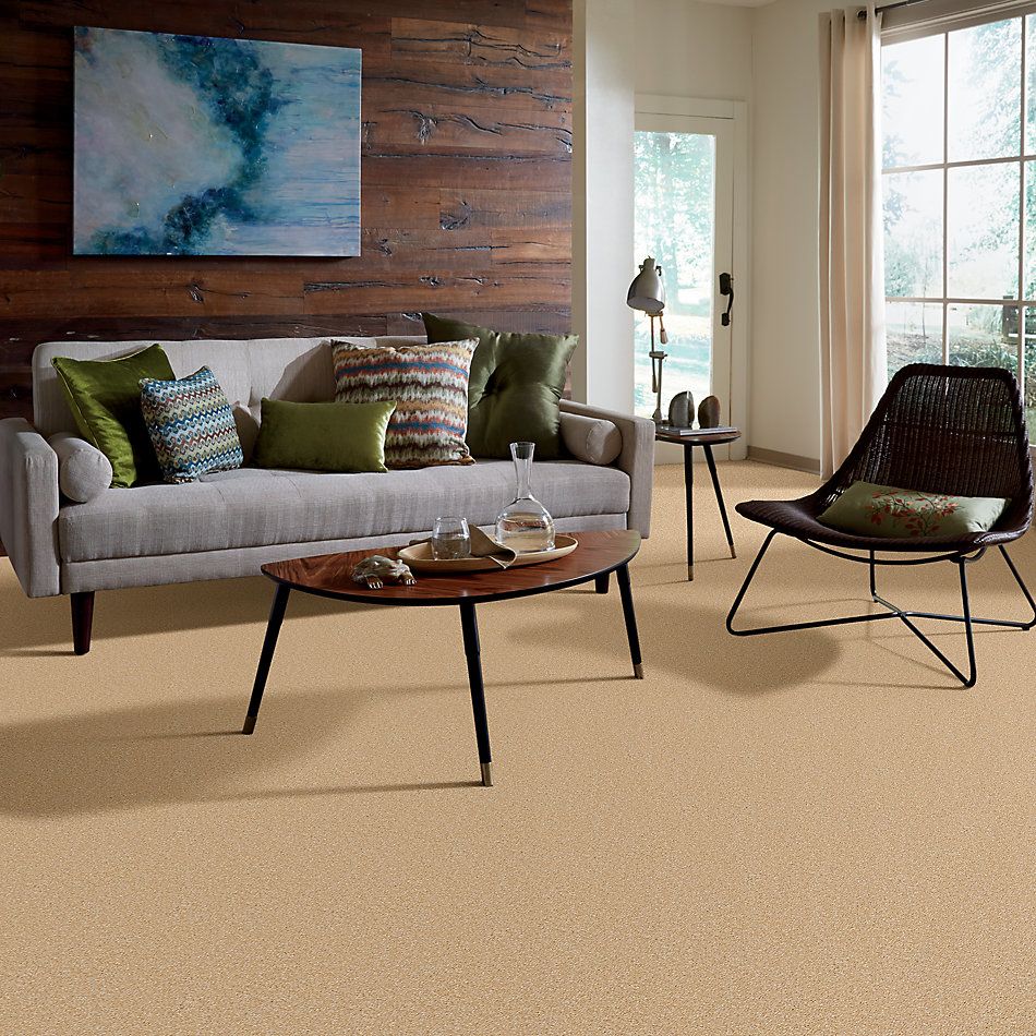 Shaw Floors Apd/Sdc Fabulux 15′ Cornfield 00202_19831
