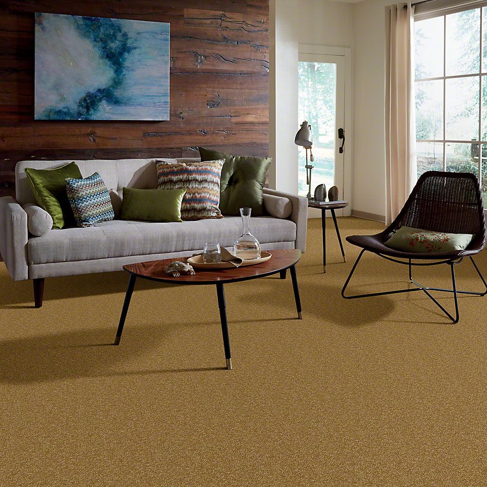 Shaw Floors SFA Passageway III Golden Rod 52S26_00202