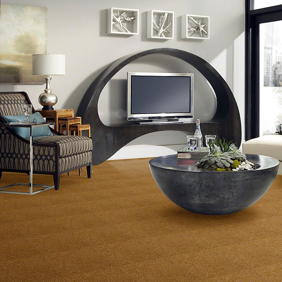 Shaw Floors Town Creek I 15′ Golden Rod 52V12_00202