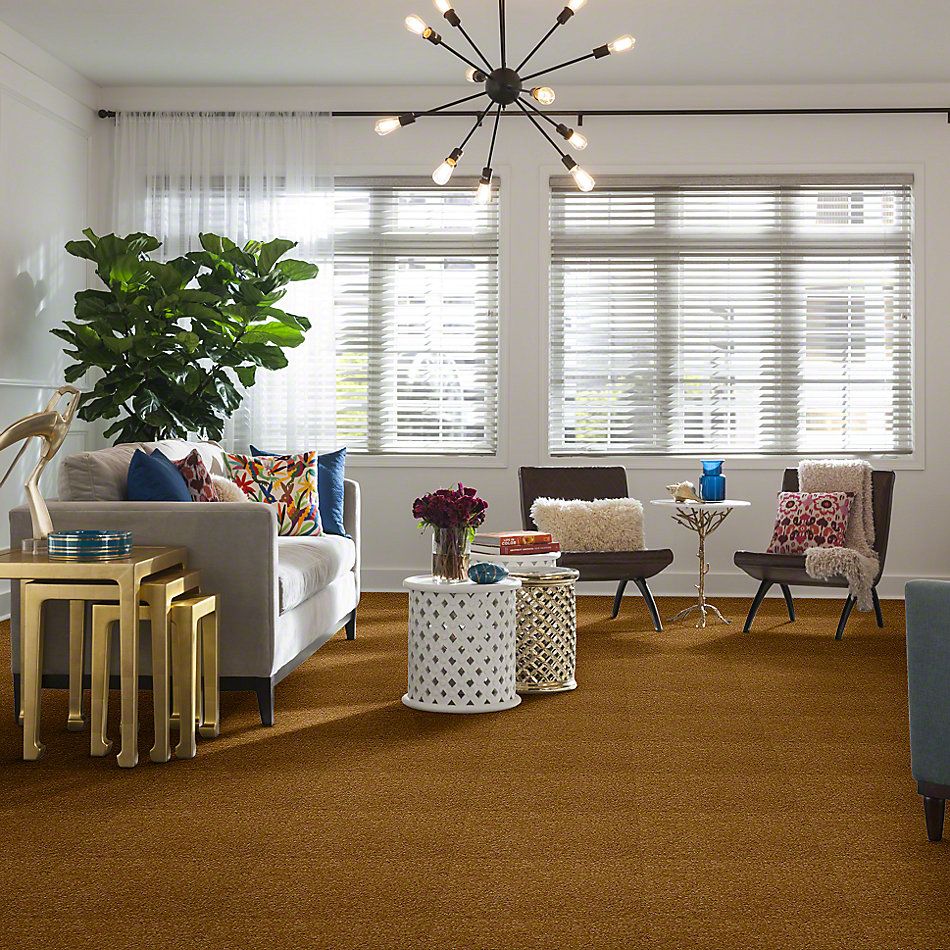 Shaw Floors Town Creek I 15′ Golden Rod 52V12_00202