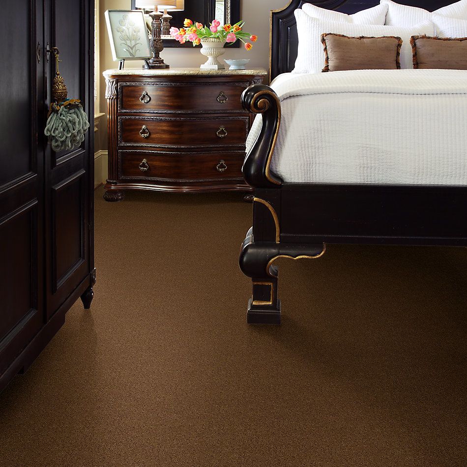 Shaw Floors Caress By Shaw Quiet Comfort Iv Southern Andes 00202_CCB33
