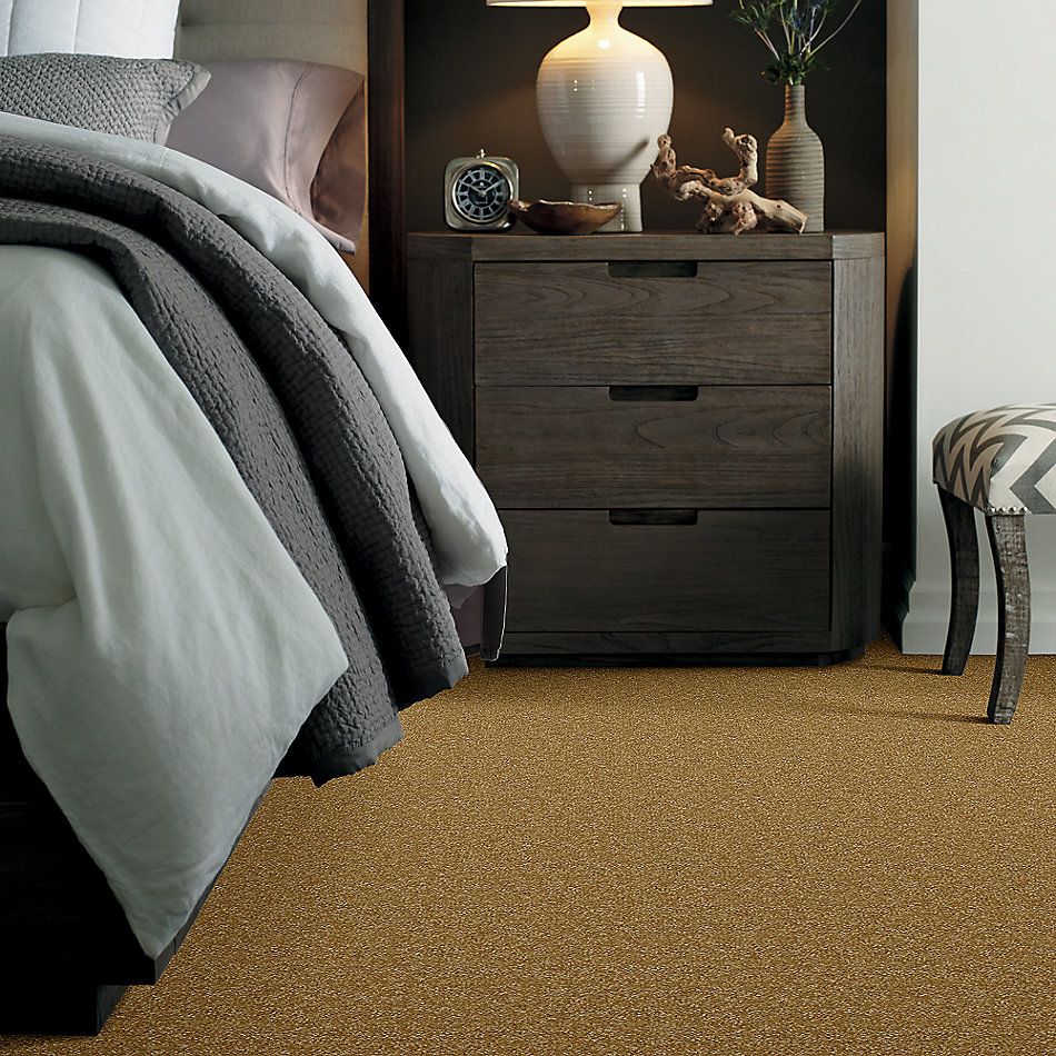 Shaw Floors Value Collections Passageway 1 12 Net Golden Rod 00202_E9152