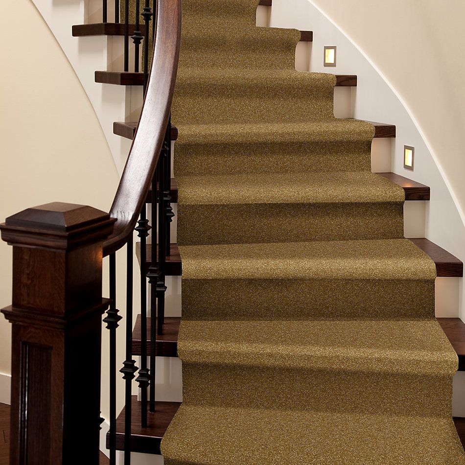 Shaw Floors Value Collections Passageway 3 12 Net Golden Rod 00202_E9154