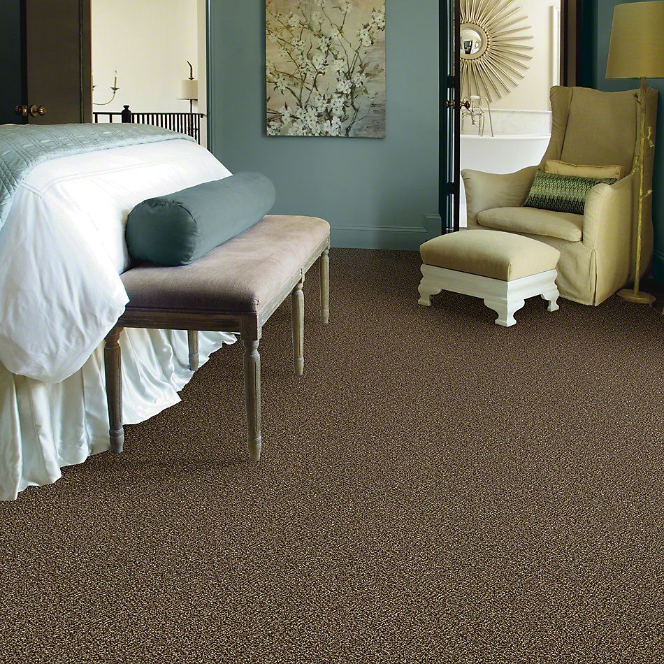 Shaw Floors Value Collections Because We Can II 15′ Net Raw Sienna 00202_E9315