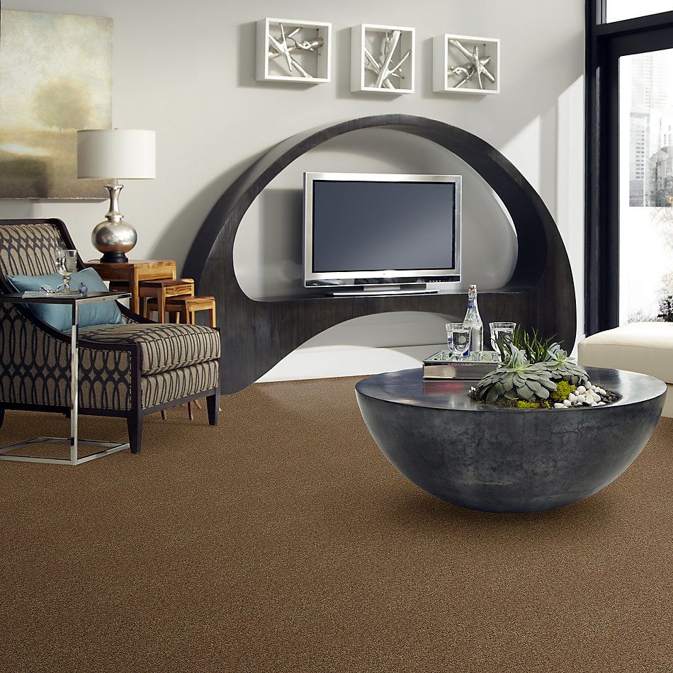 Shaw Floors Nfa/Apg Blended Trio Southern Andes 00202_NA133