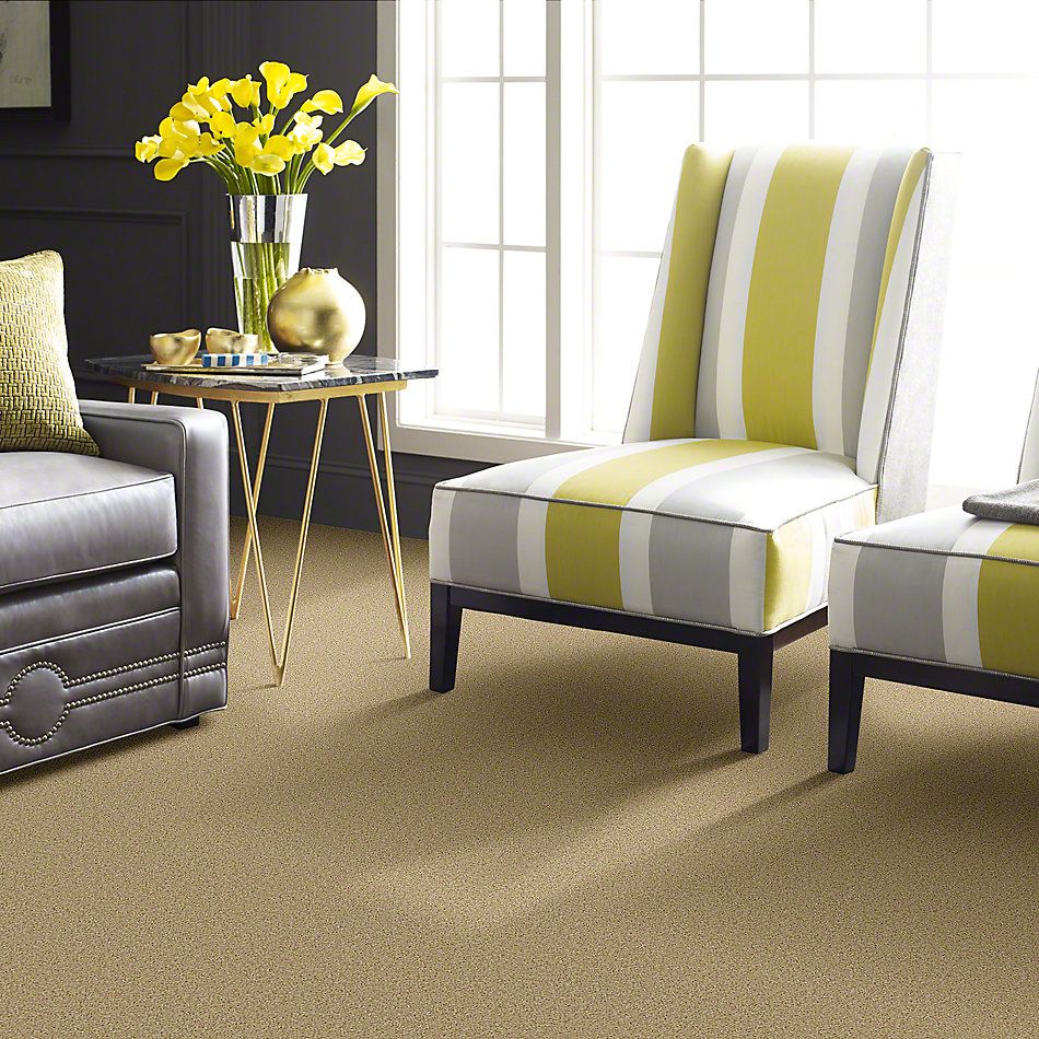 Shaw Floors Full Court 12′ Crumpet 52Y46_00203