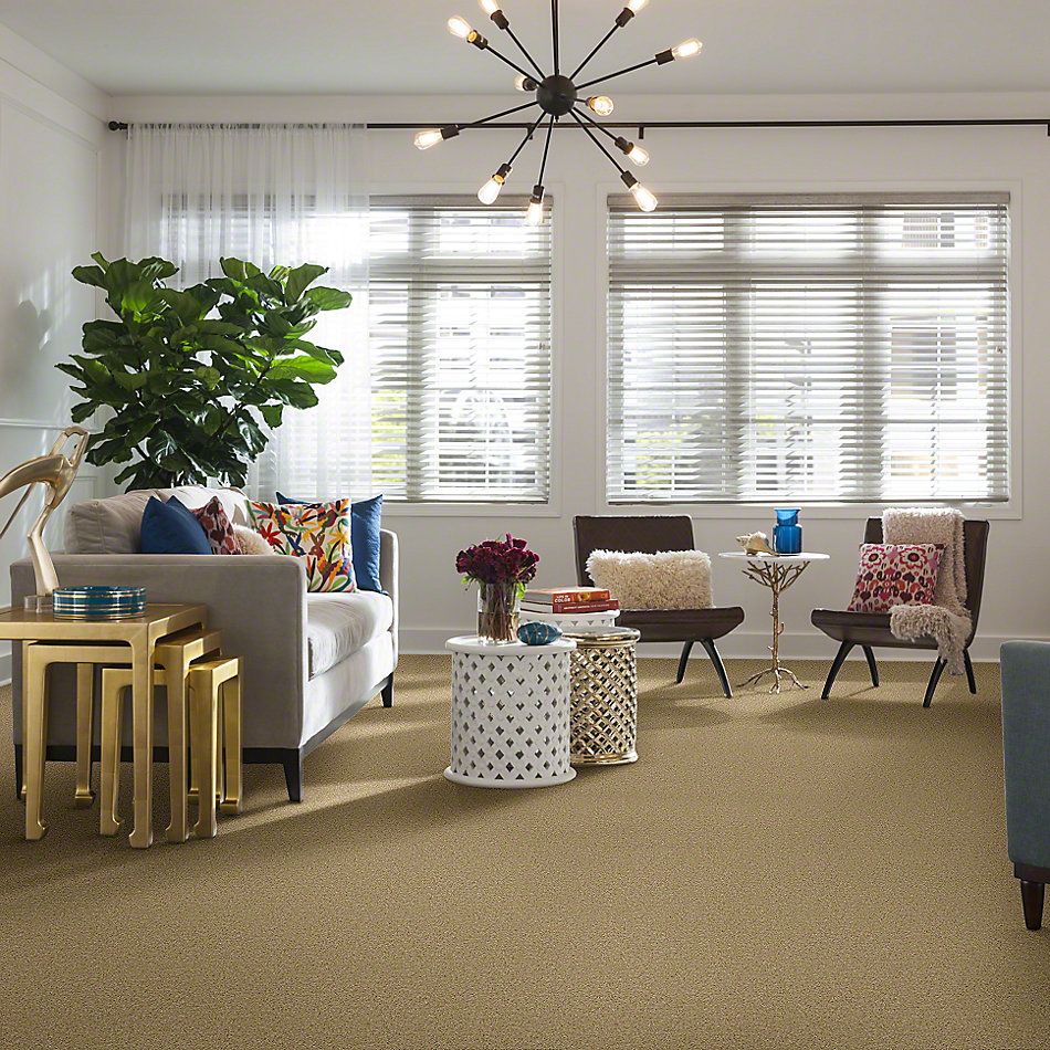 Shaw Floors Full Court 15′ Crumpet 52Y82_00203