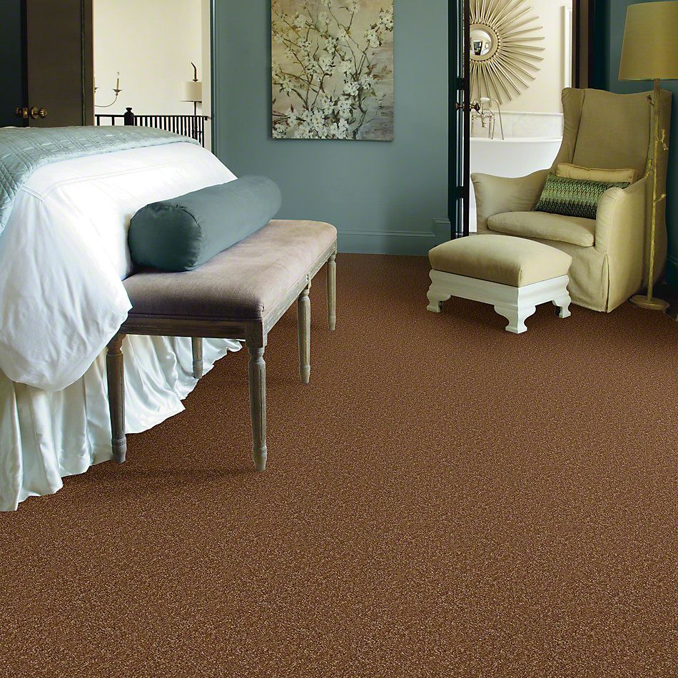 Shaw Floors Town Creek II Pecan Shell 52S30_00203