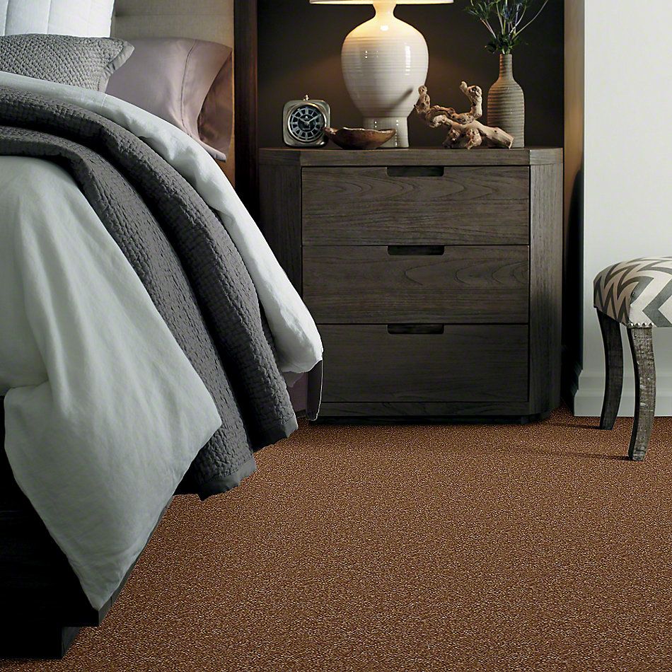 Shaw Floors Town Creek II Pecan Shell 52S30_00203