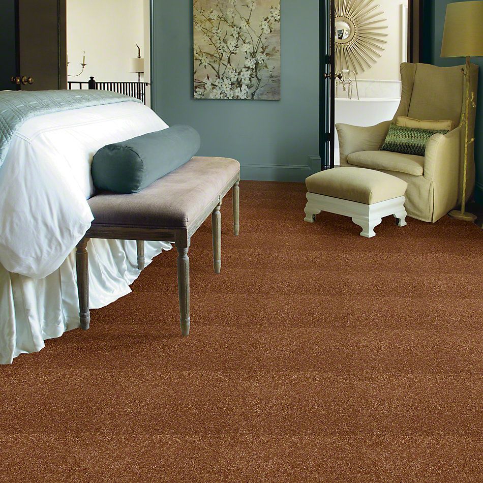 Shaw Floors Town Creek I 15′ Pecan Shell 52V12_00203