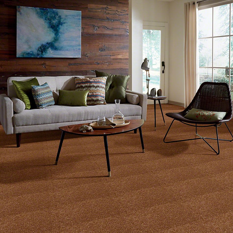 Shaw Floors Town Creek I 15′ Pecan Shell 52V12_00203