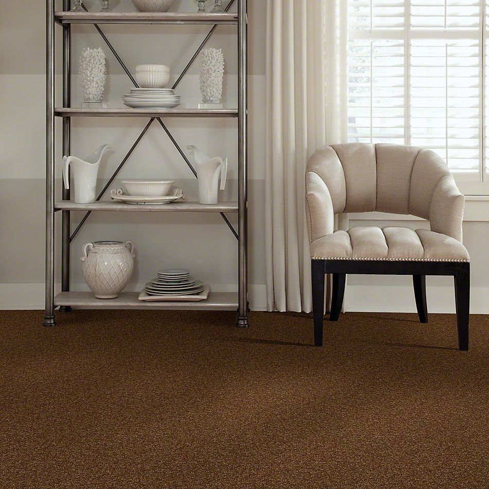 Shaw Floors SFA Passageway III Camel 52S26_00204