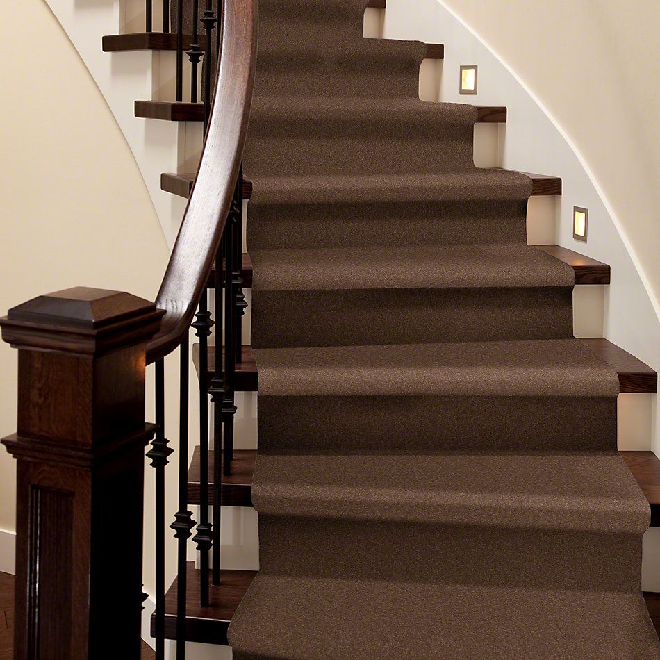 Shaw Floors SFA Timeless Appeal I 12′ Tuscany 00204_Q4310