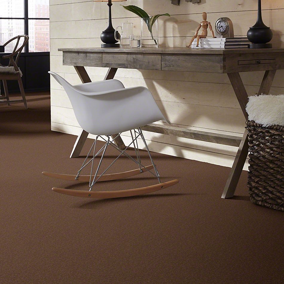 Shaw Floors SFA Timeless Appeal I 12′ Tuscany 00204_Q4310