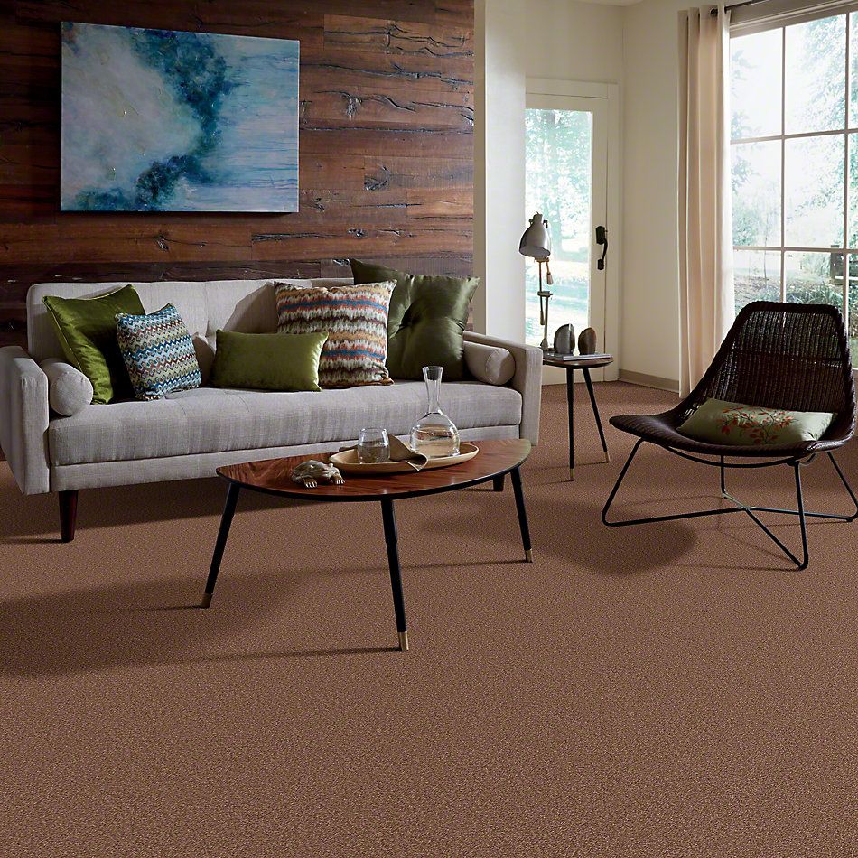 Shaw Floors SFA Timeless Appeal III 12′ Tuscany 00204_Q4314