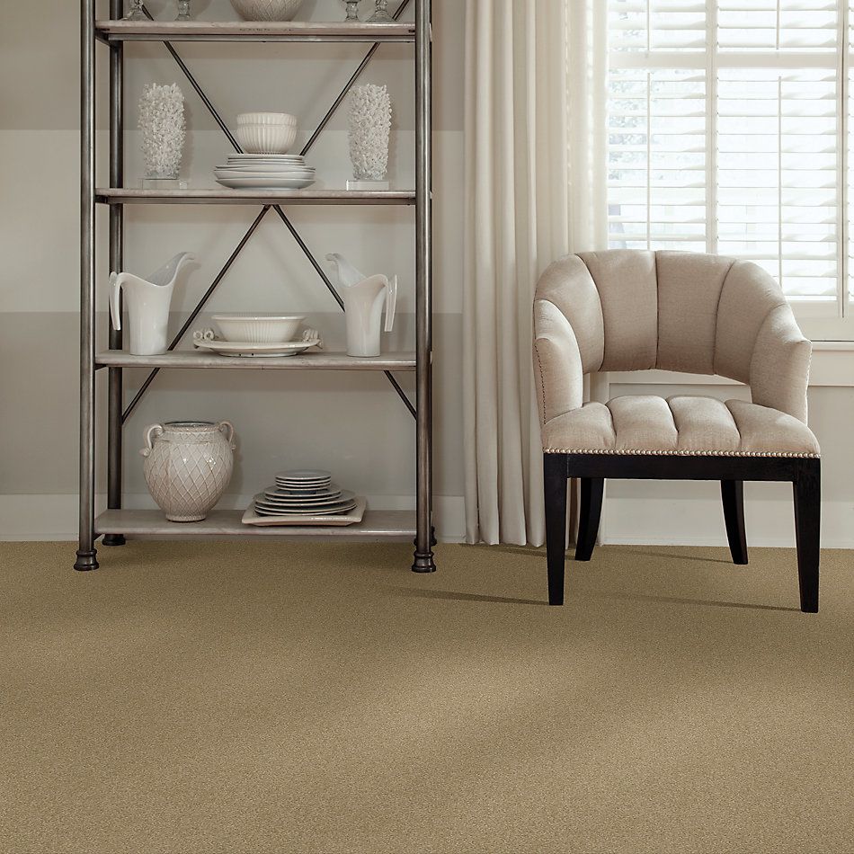 Shaw Floors Value Collections Sandy Hollow Cl III Net Sahara 00205_5E511