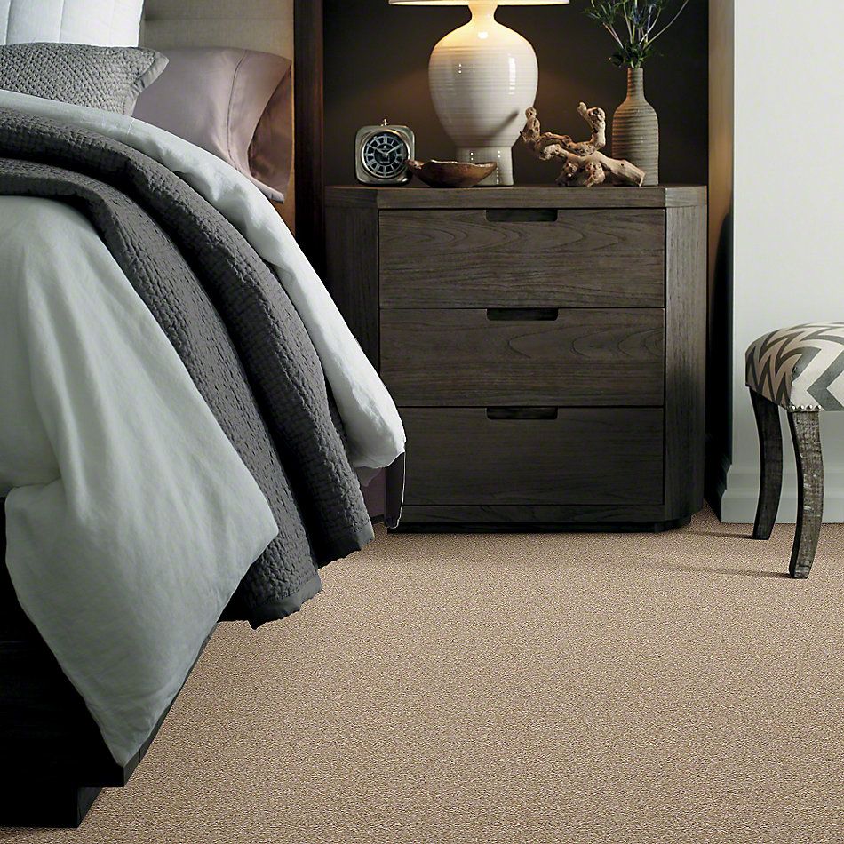 Shaw Floors Queen Sandy Hollow I 15′ Sahara 00205_Q4274