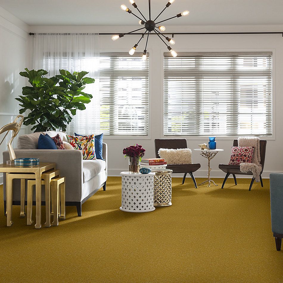 Shaw Floors Value Collections Passageway 3 12 Net Daffodil 00205_E9154