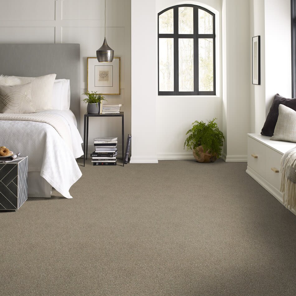 Shaw Floors Pet Perfect Plus Artistic Fusion I Net Honeycomb 00207_5E610