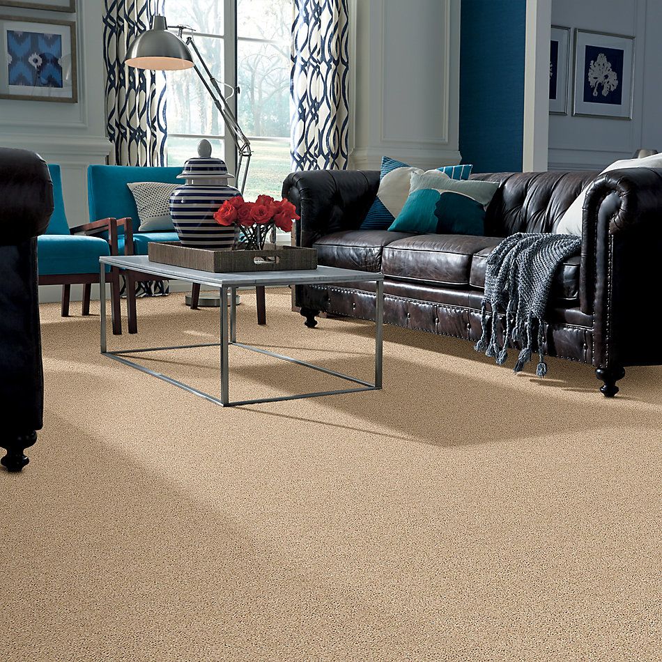 Shaw Floors Value Collections Shake It Up Solid Net Desert Sand 00210_E9857