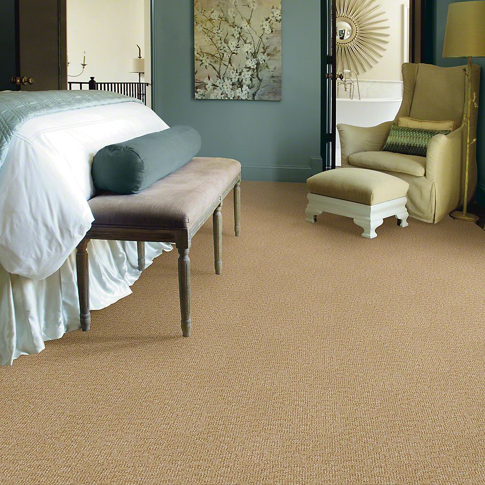 Anderson Tuftex Alante Iverson Boutique Beige 831AG_00213