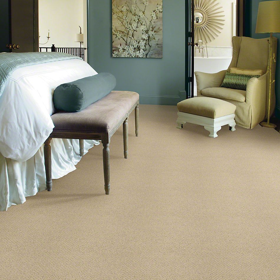 Shaw Floors Timeless Charm Loop Chamois 00220_E0405